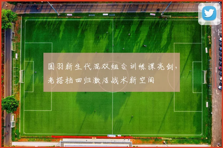 国羽新生代混双组合训练课亮剑，老搭档回归激活战术新空间