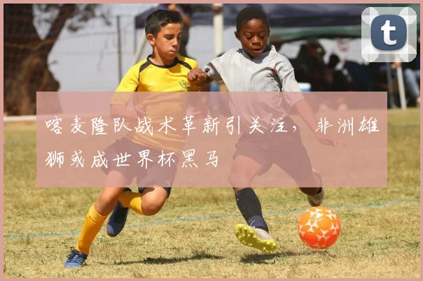 喀麦隆队战术革新引关注，非洲雄狮或成世界杯黑马