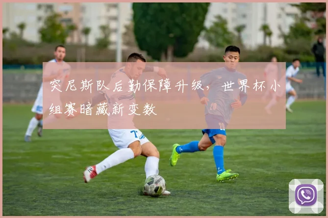 突尼斯队后勤保障升级，世界杯小组赛暗藏新变数