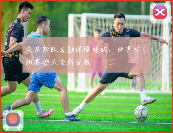 突尼斯队后勤保障升级，世界杯小组赛迎来全新变数